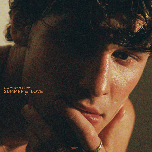 shawn_mendes_summer_of_love